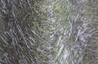 North Poulner fibreglass roof work